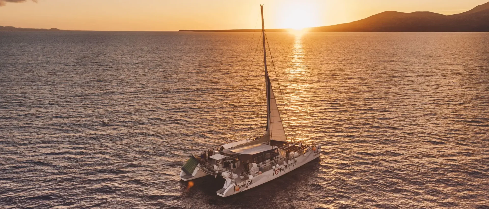 Lanzarote Sunset Dolphin Spotting Cruise