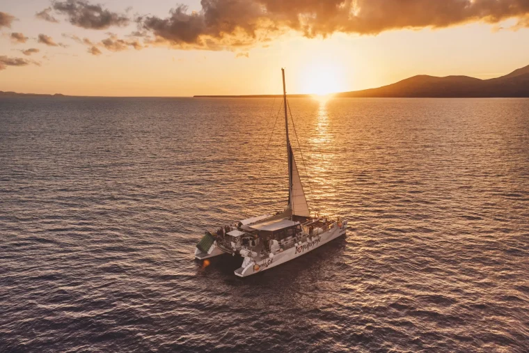 Lanzarote Sunset Dolphin Spotting Cruise